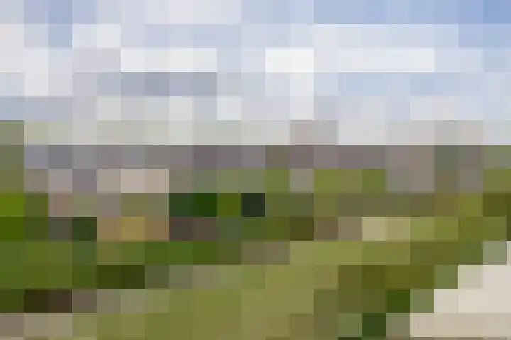 Haydnstraat 56 Capelle aan den IJssel thumbnail 30