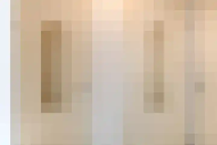 Haydnstraat 56 Capelle aan den IJssel thumbnail 33