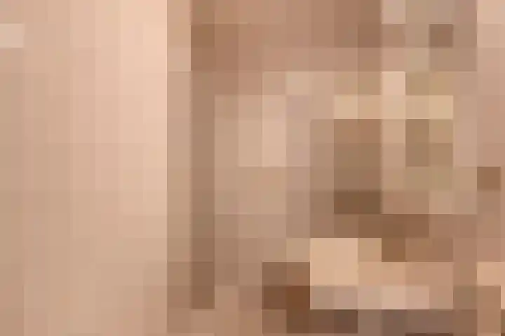 Haydnstraat 56 Capelle aan den IJssel thumbnail 35