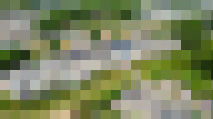 Haydnstraat 56 Capelle aan den IJssel thumbnail 43