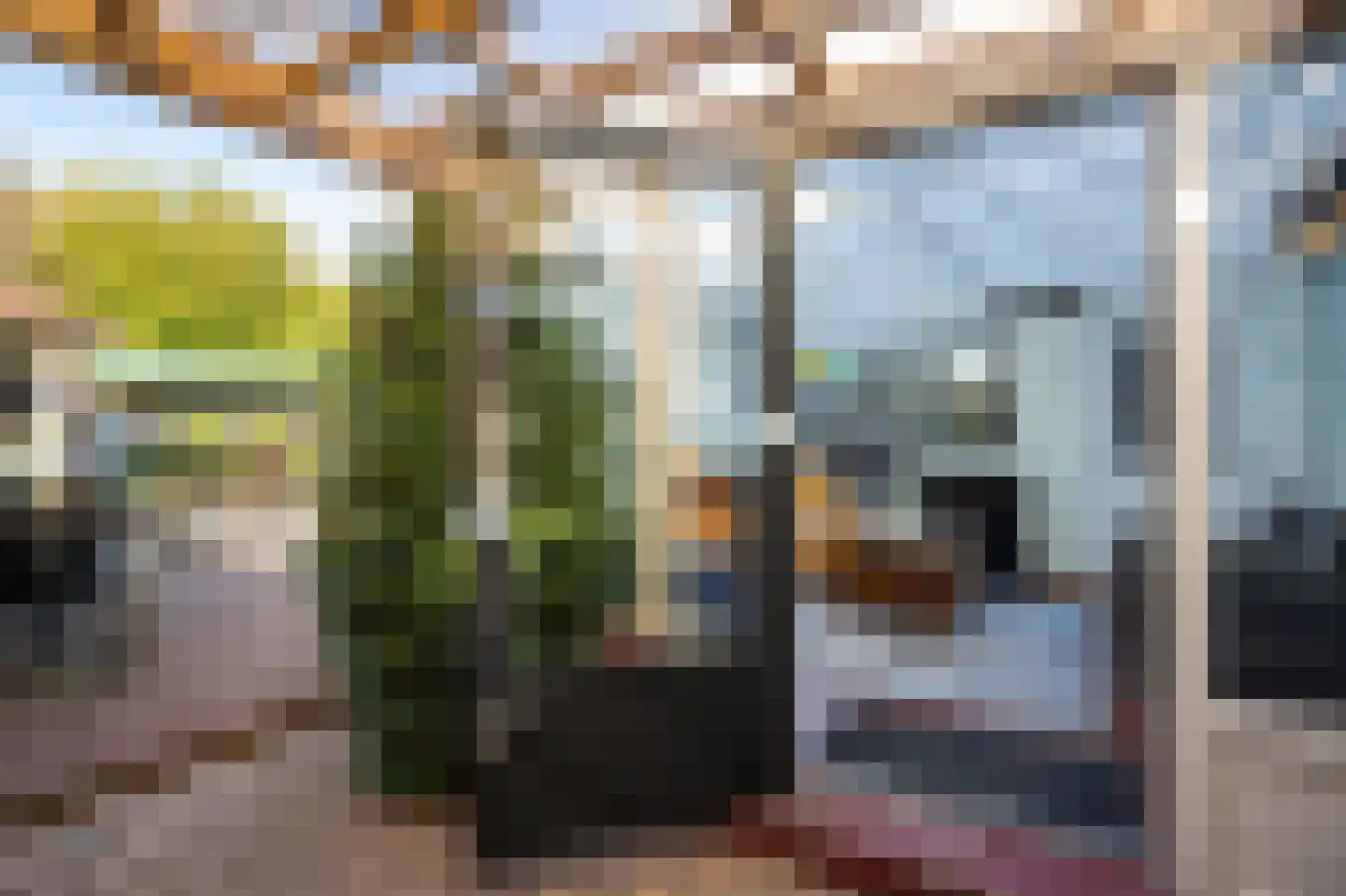 Haydnstraat 56 Groesbeek thumbnail 38