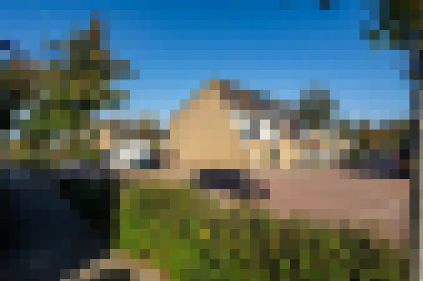 Haydnstraat 56 Groesbeek thumbnail 44