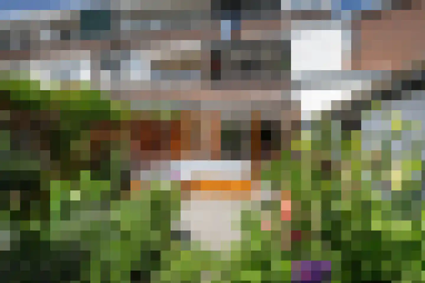 Haydnstraat 59 Vlaardingen thumbnail 26