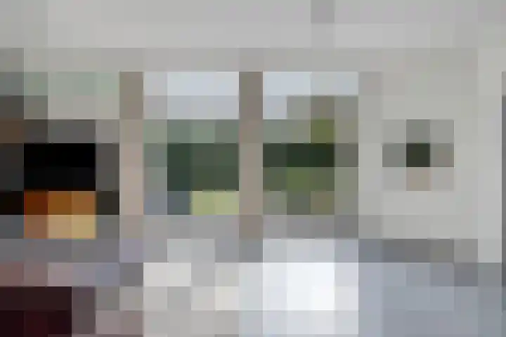 Haydnstraat 6 Halsteren thumbnail 14