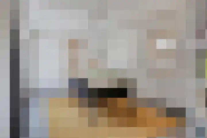 Haydnstraat 6 Halsteren thumbnail 17
