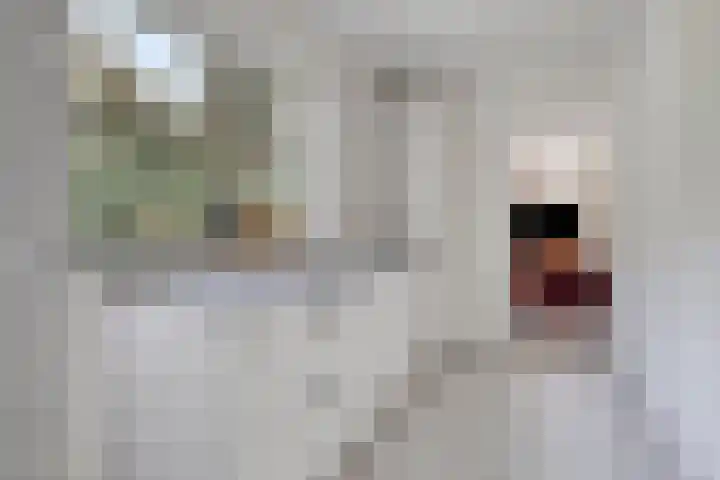 Haydnstraat 6 Halsteren thumbnail 19