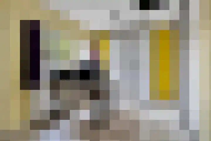 Haydnstraat 6 Halsteren thumbnail 27