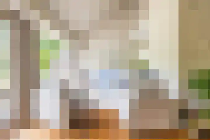 Haydnstraat 6 Halsteren thumbnail 28