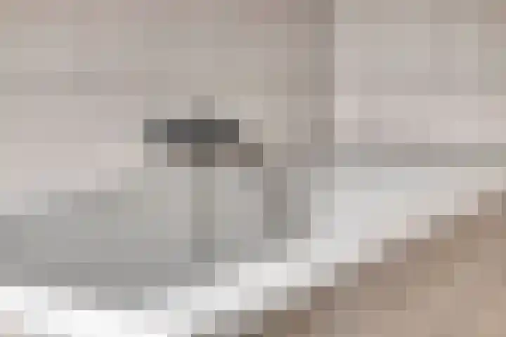 Haydnstraat 6 Halsteren thumbnail 32