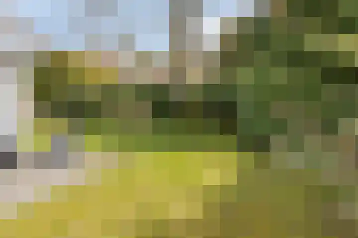 Haydnstraat 6 Halsteren thumbnail 34