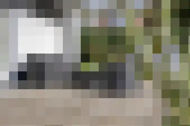 Haydnstraat 6 Halsteren thumbnail 36