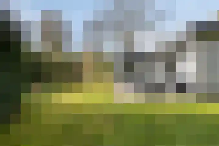 Haydnstraat 6 Halsteren thumbnail 37
