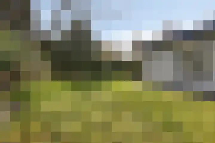 Haydnstraat 6 Halsteren thumbnail 38