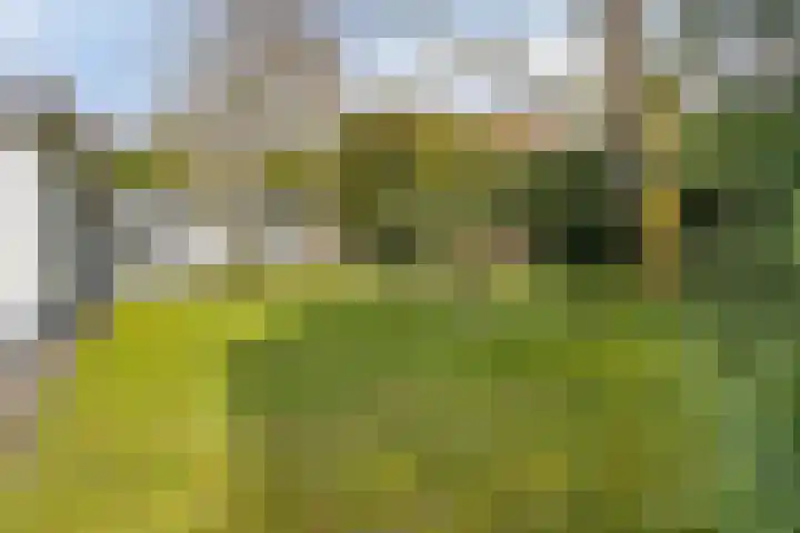 Haydnstraat 6 Halsteren thumbnail 39