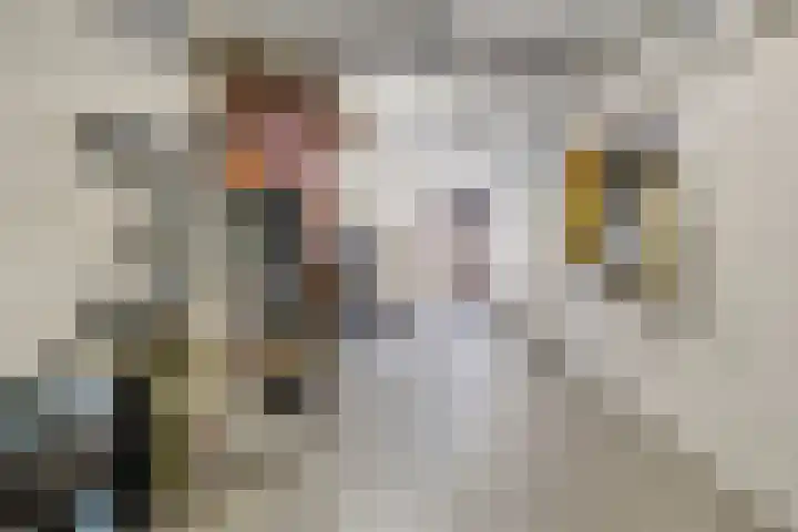 Haydnstraat 6 Halsteren thumbnail 44