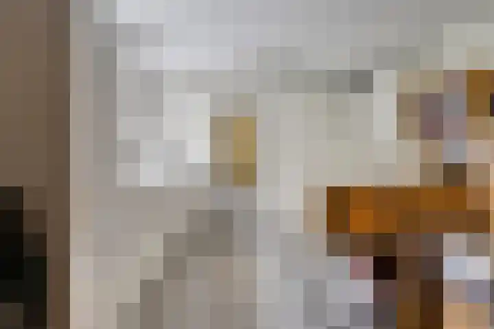 Haydnstraat 6 Halsteren thumbnail 46