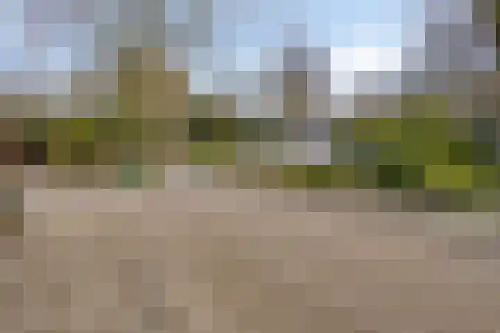 Haydnstraat 6 Halsteren thumbnail 47