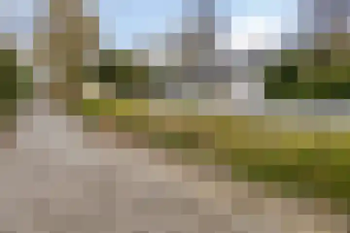 Haydnstraat 6 Halsteren thumbnail 48