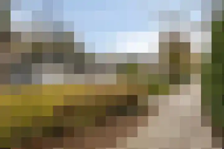Haydnstraat 6 Halsteren thumbnail 49