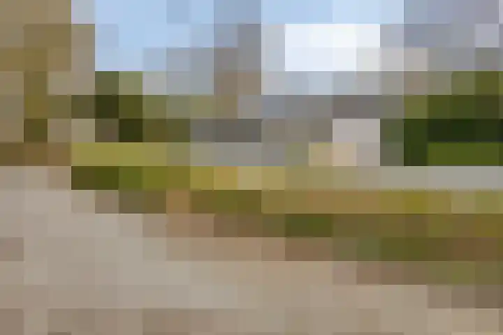 Haydnstraat 6 Halsteren thumbnail 50