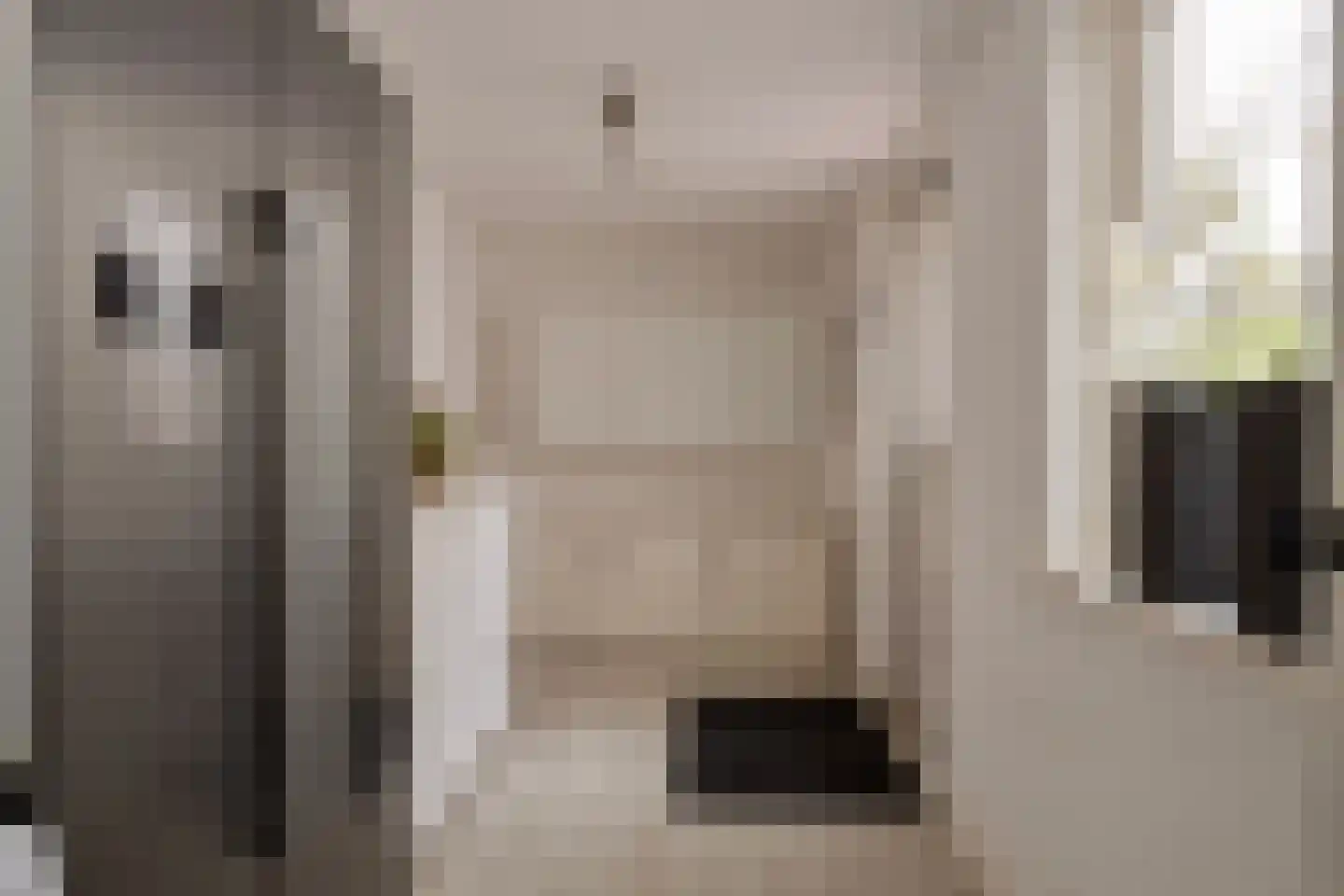 Haydnstraat 6 Losser thumbnail 20