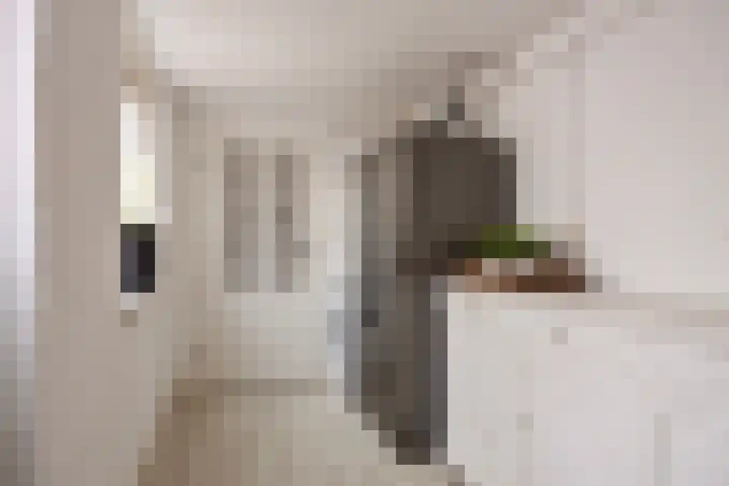 Haydnstraat 6 Losser thumbnail 21