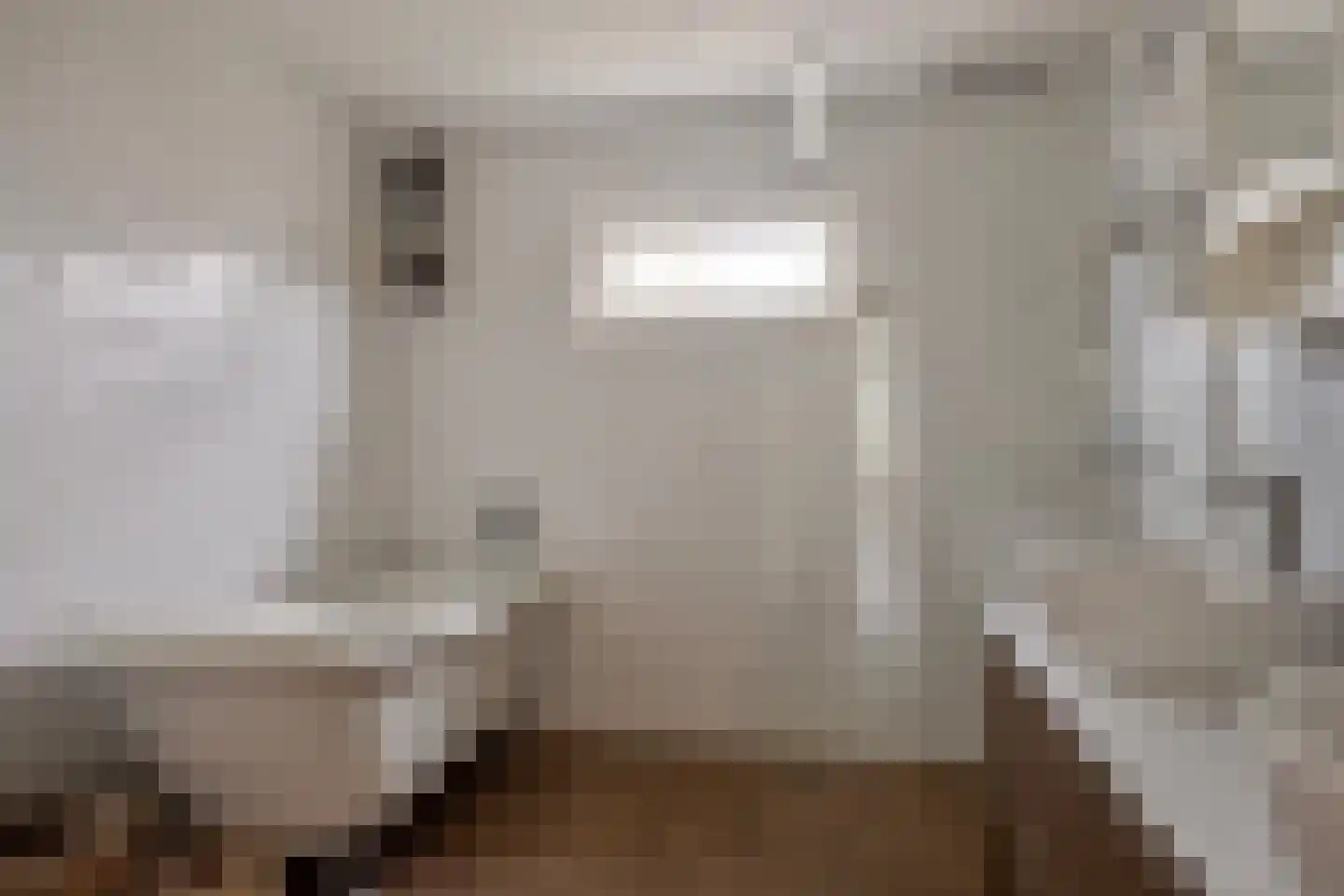 Haydnstraat 6 Losser thumbnail 25