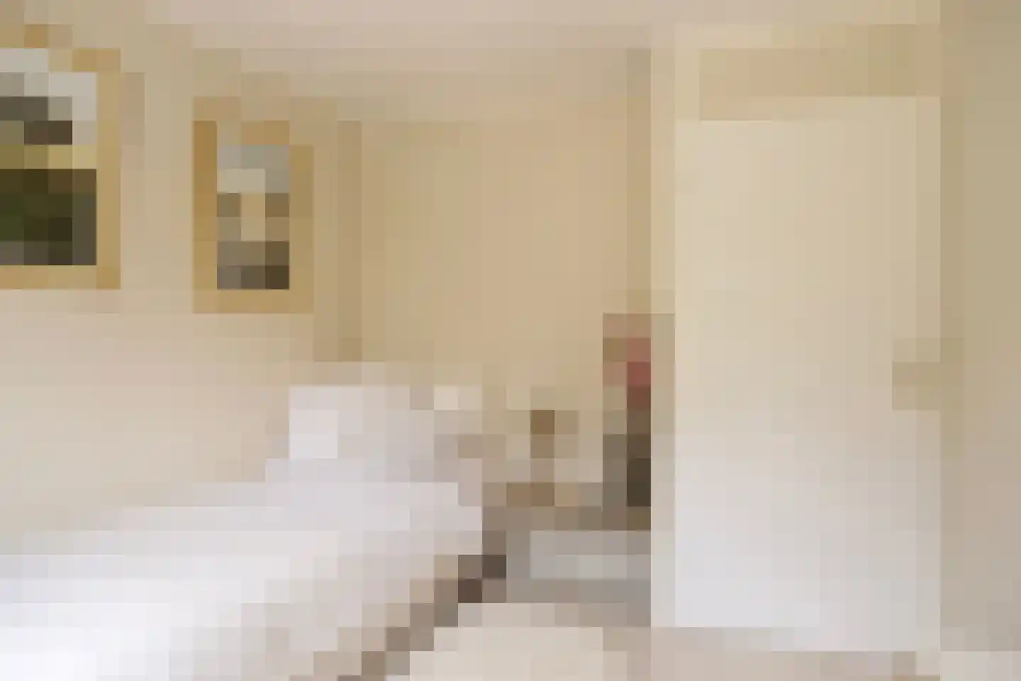 Haydnstraat 6 Losser thumbnail 30