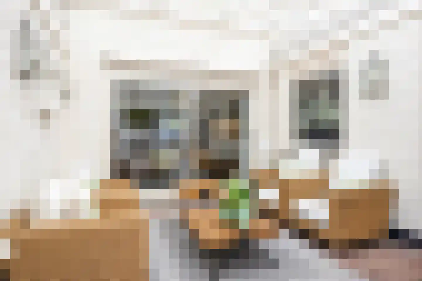 Haydnstraat 6 Losser thumbnail 38