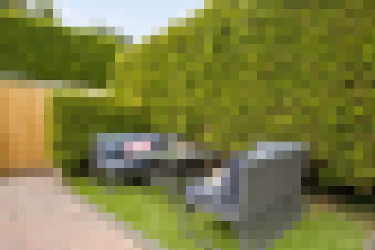 Haydnstraat 6 Losser thumbnail 40