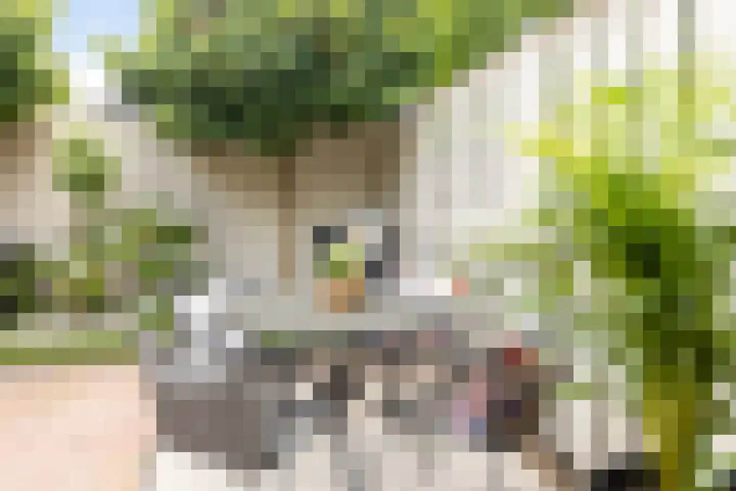 Haydnstraat 6 Losser thumbnail 41