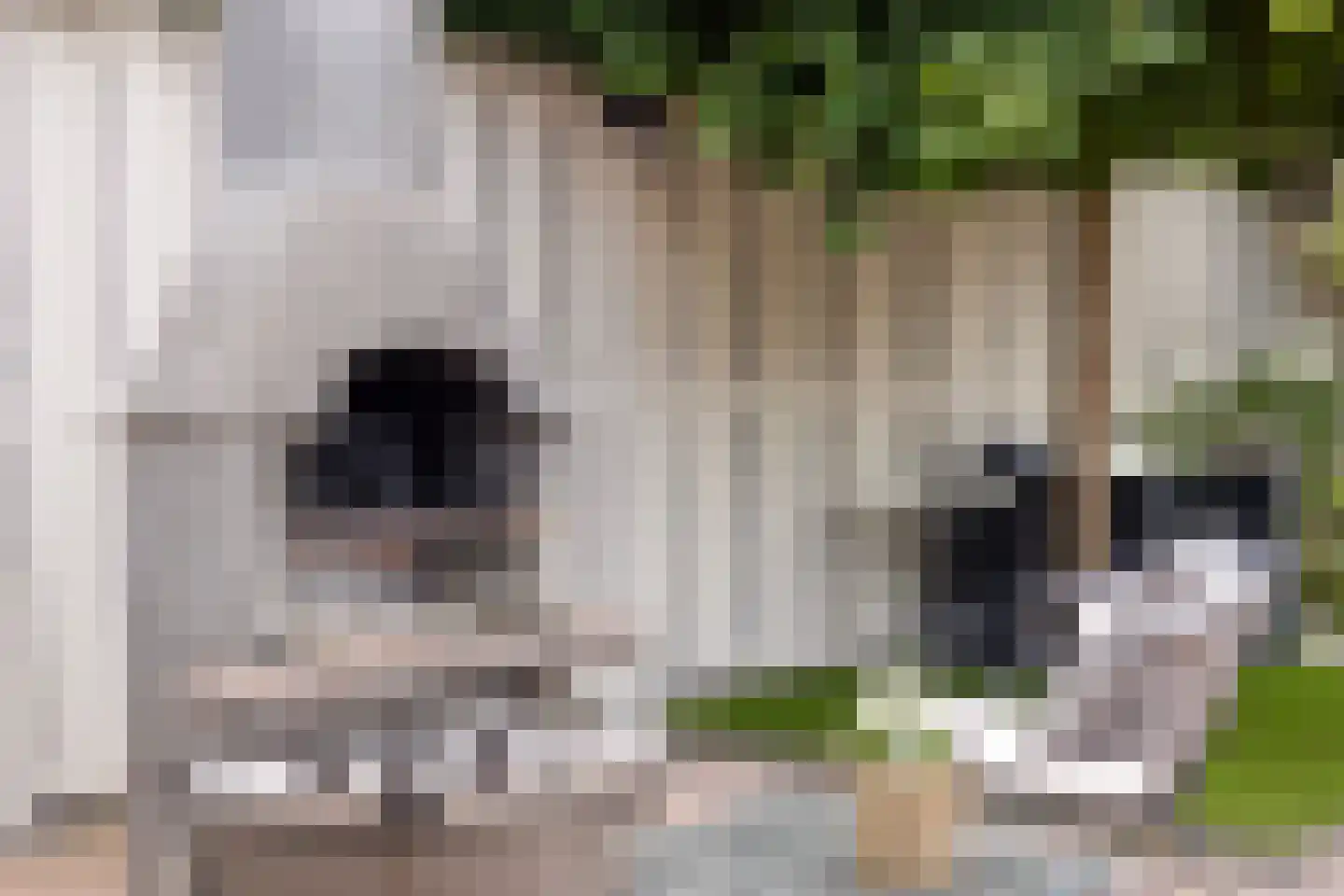 Haydnstraat 6 Losser thumbnail 42
