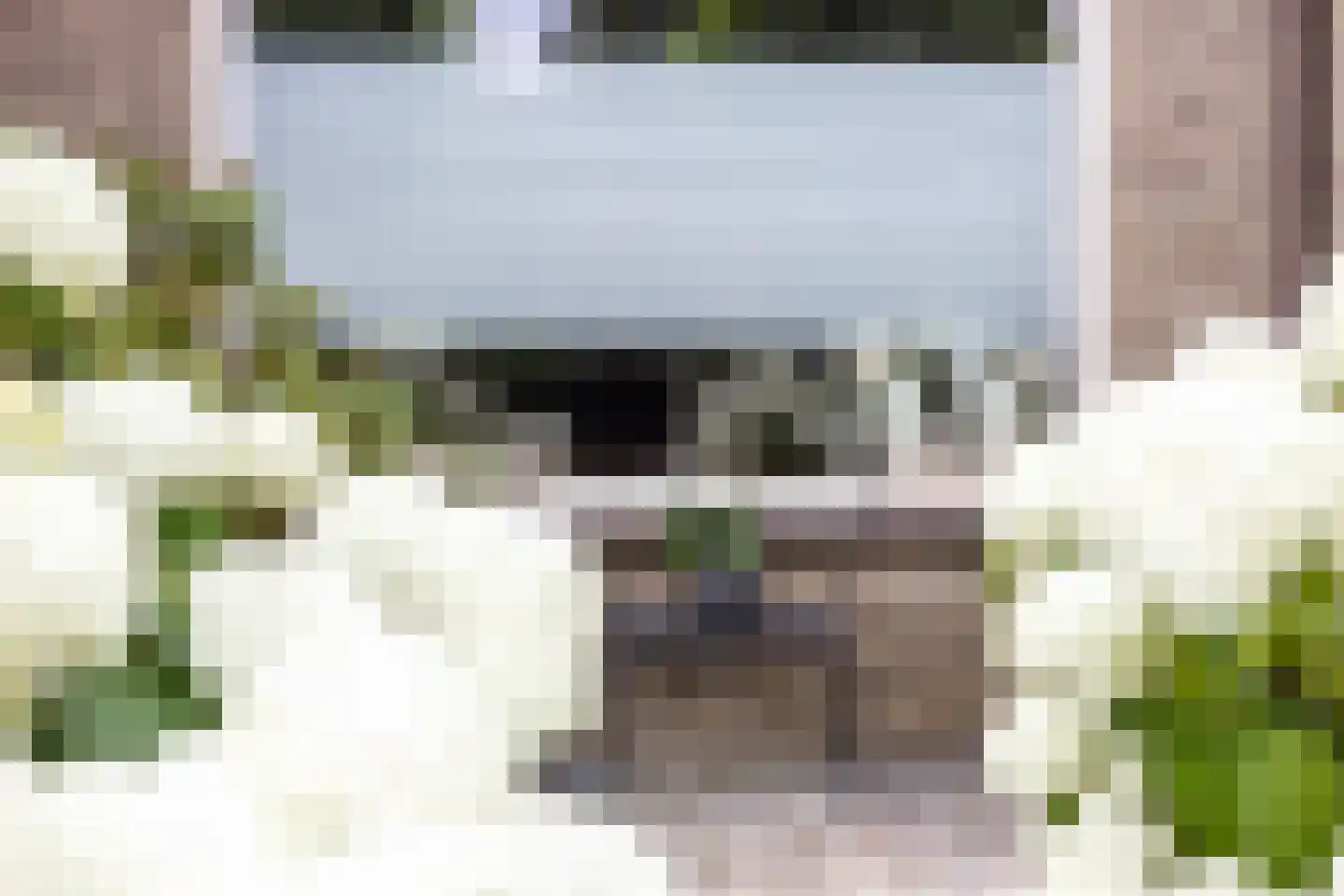 Haydnstraat 6 Losser thumbnail 8