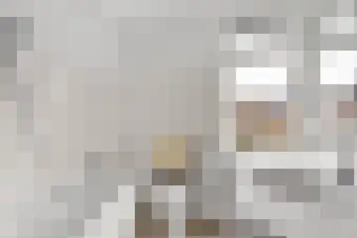 Haydnstraat 6 Nieuwkoop thumbnail 18