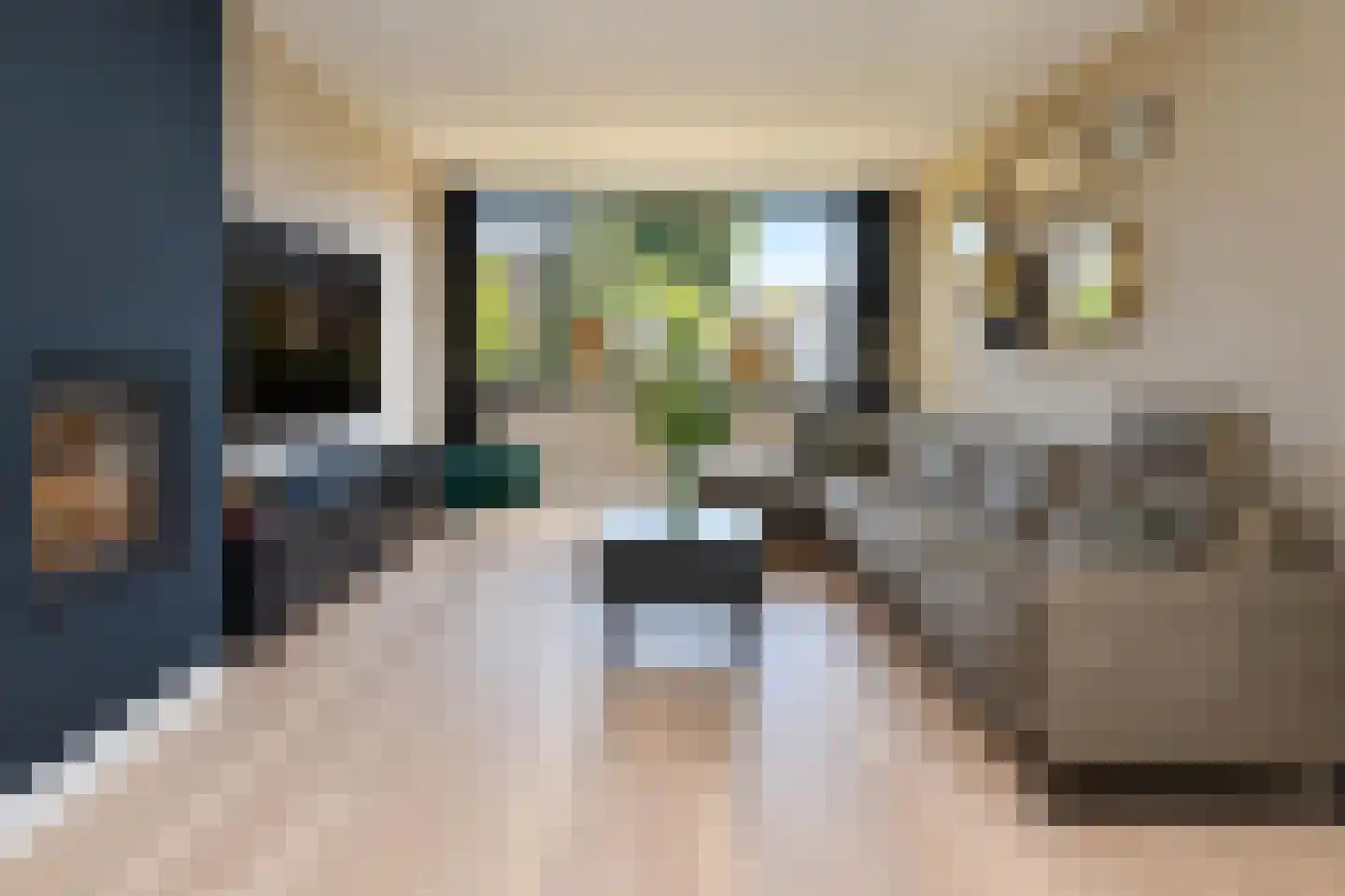 Haydnstraat 63 Elst thumbnail 10