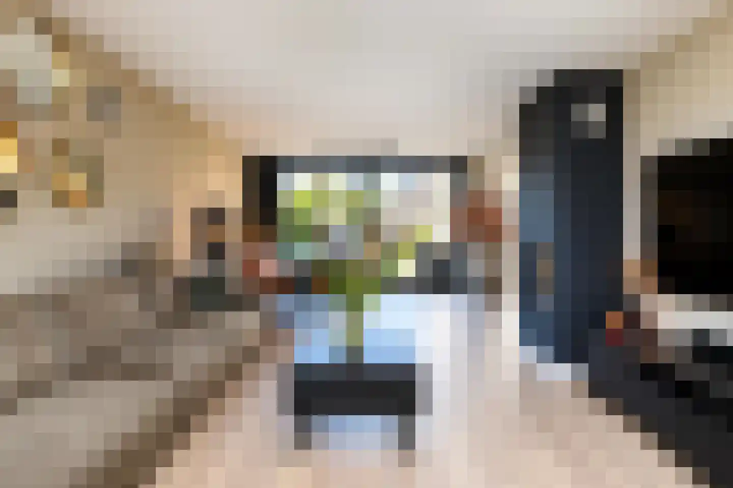 Haydnstraat 63 Elst thumbnail 13