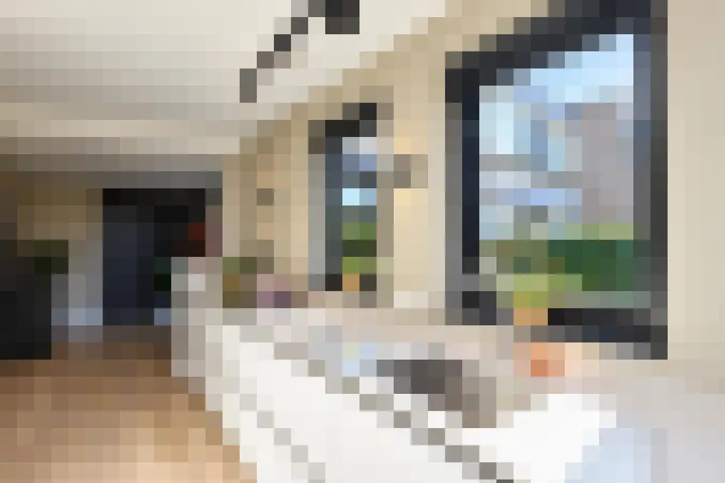Haydnstraat 63 Elst thumbnail 17
