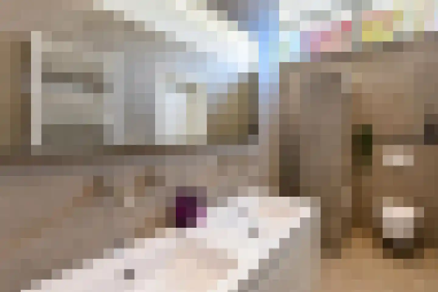 Haydnstraat 63 Elst thumbnail 29