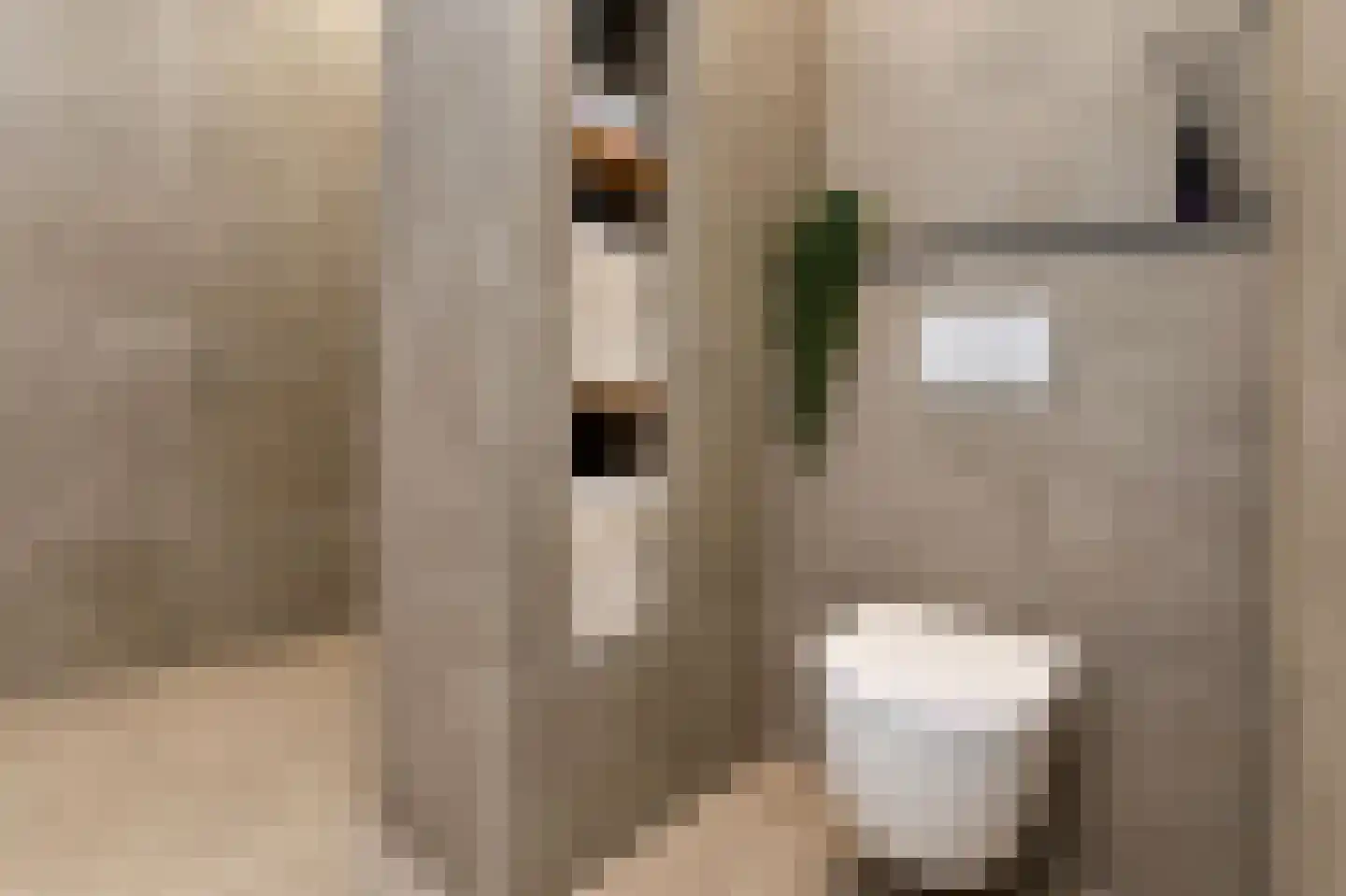 Haydnstraat 63 Elst thumbnail 34