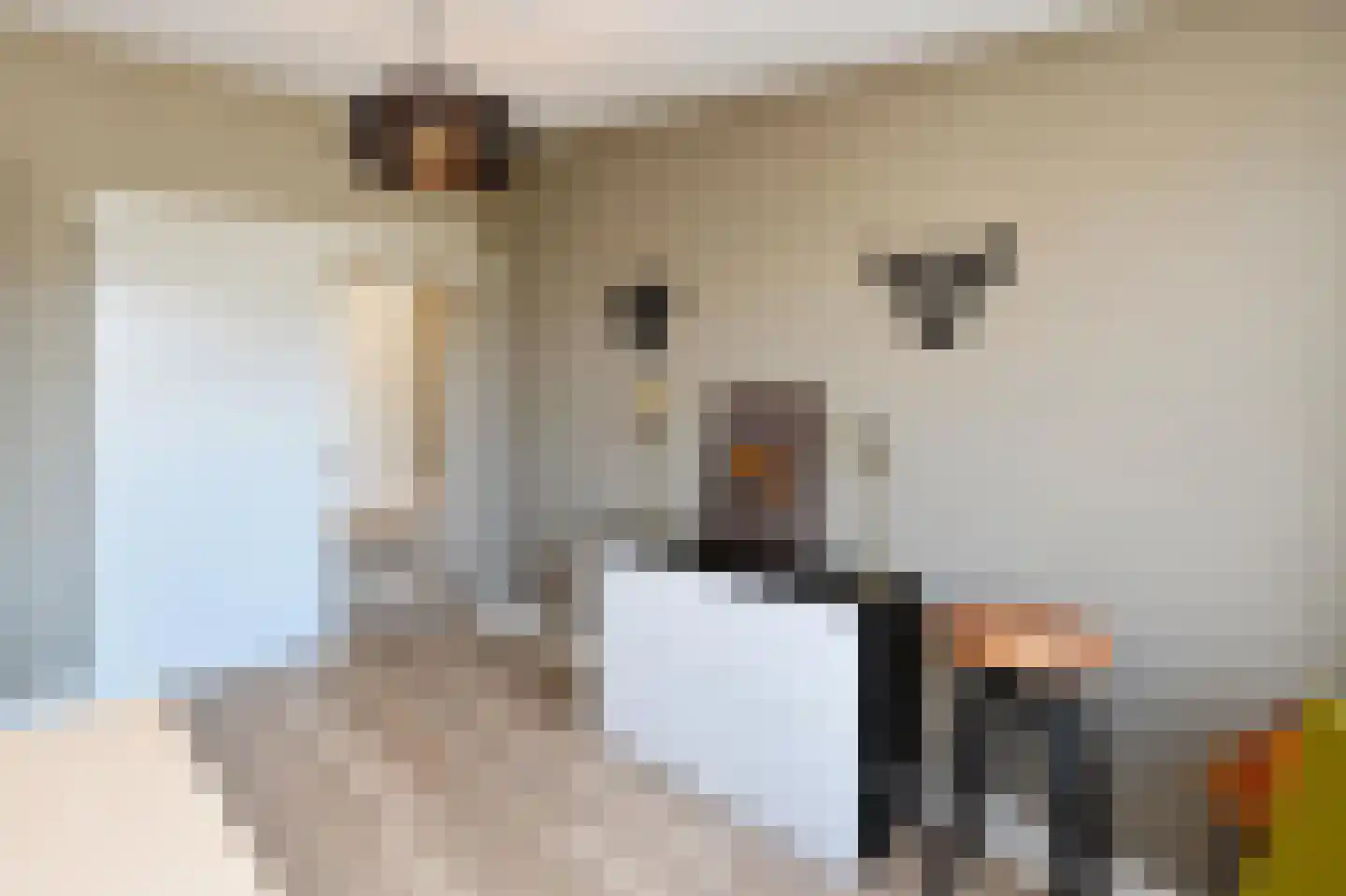 Haydnstraat 63 Elst thumbnail 39