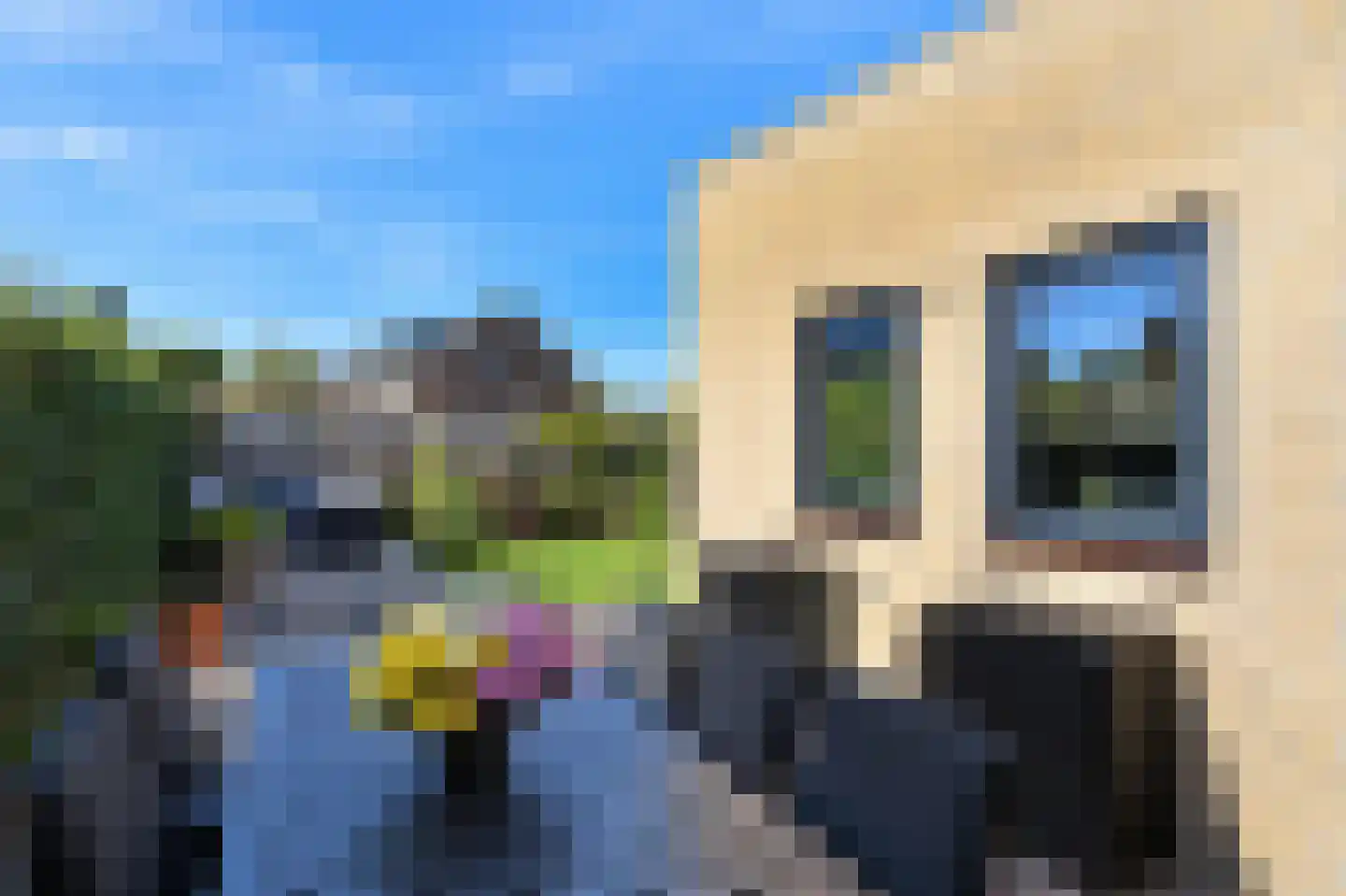 Haydnstraat 63 Elst thumbnail 45