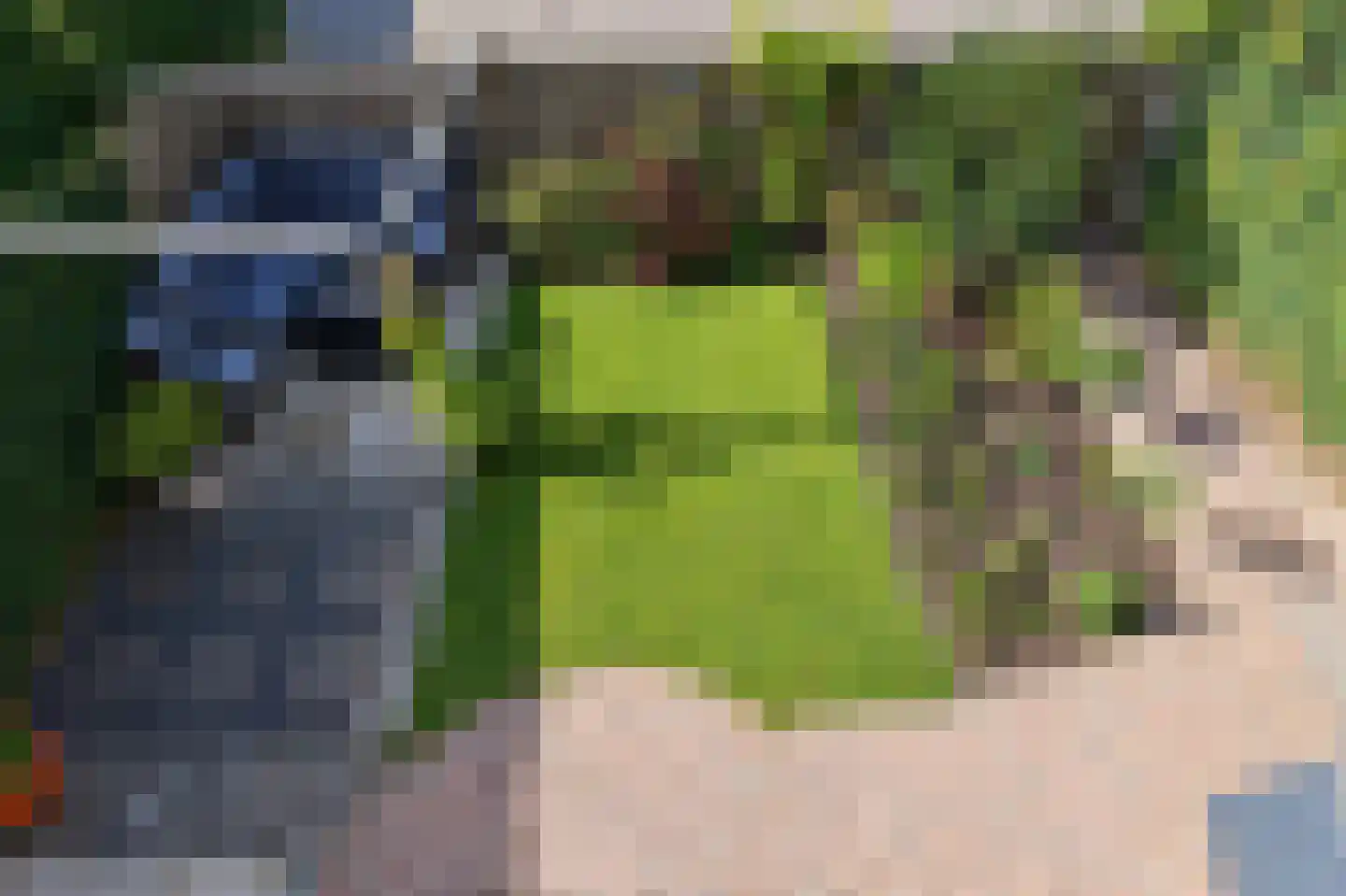 Haydnstraat 63 Elst thumbnail 49