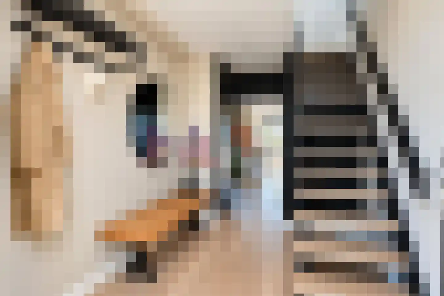 Haydnstraat 63 Elst thumbnail 6
