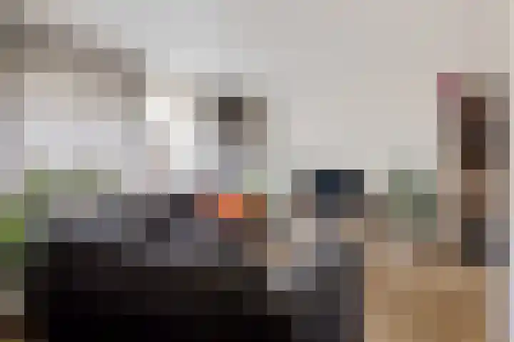 Haydnstraat 8 Nijverdal thumbnail 7