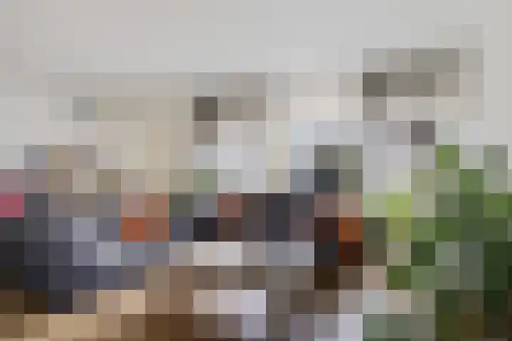 Haydnstraat 8 Nijverdal thumbnail 9