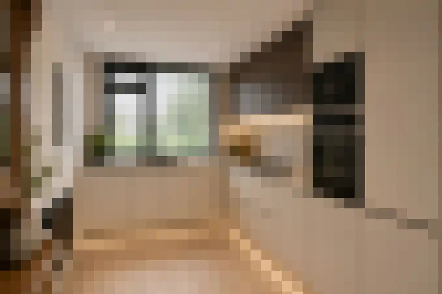 Haydnstraat 92 Capelle aan den IJssel thumbnail 20