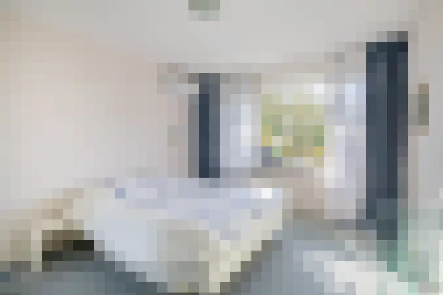 Haydnstraat 92 Capelle aan den IJssel thumbnail 27