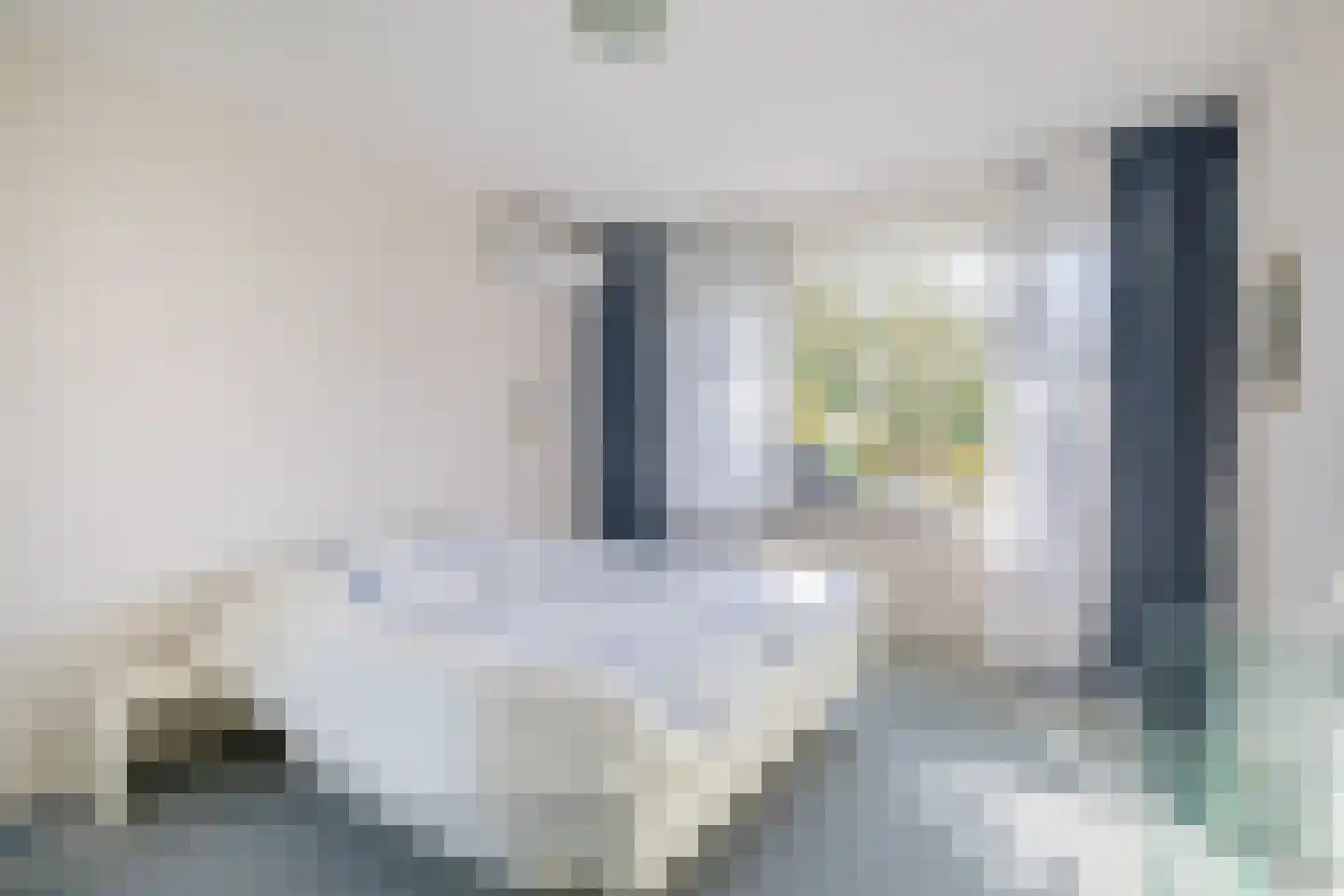 Haydnstraat 92 Capelle aan den IJssel thumbnail 28