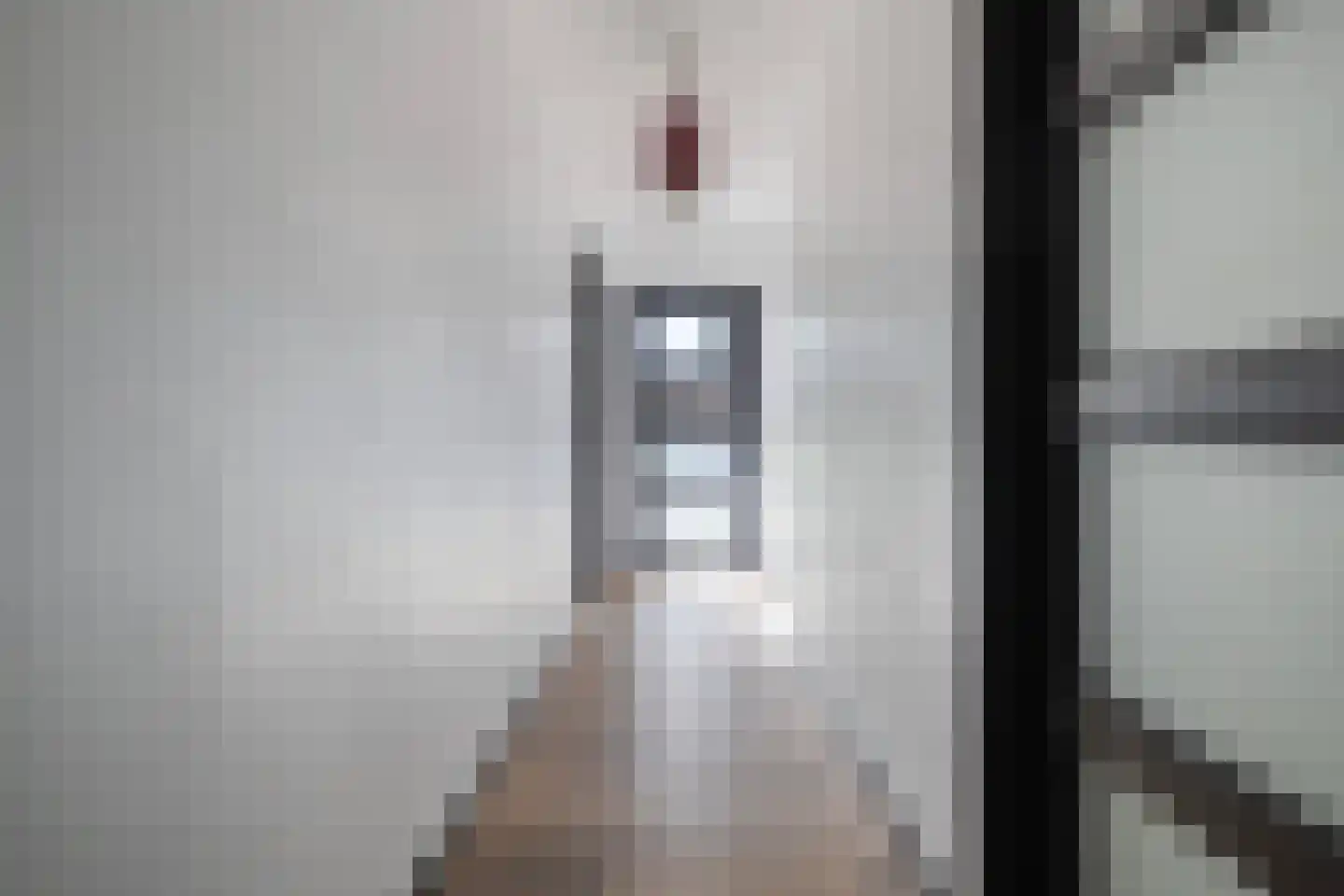 Hayemaweg 4 Kollum thumbnail 30