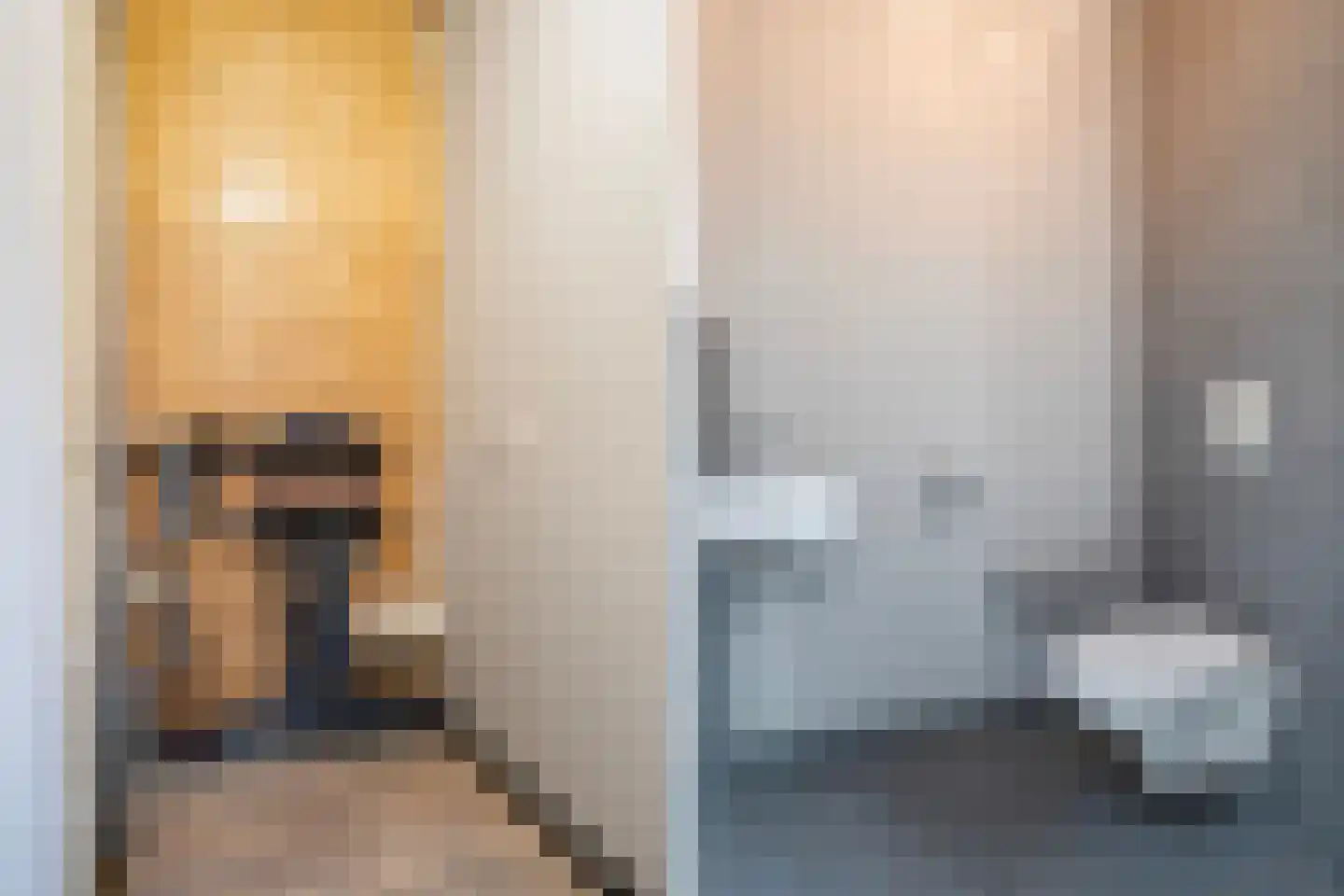 Hayemaweg 4 Kollum thumbnail 42
